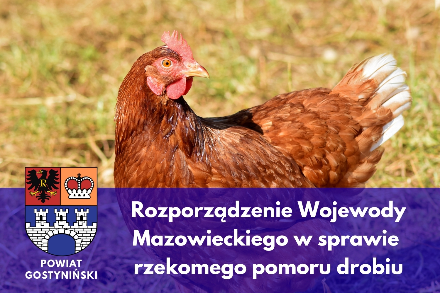 POWIAT GOSTYNISKI 1 1