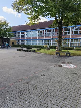 IMG20250923132911 Copy